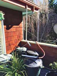 DIYRainwaterHarvesting4